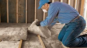 Best Insulation for New Construction  in Mason City, IA